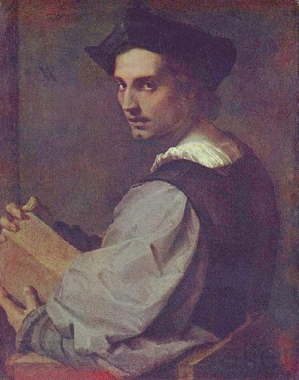 Andrea del Sarto Portrat eines jungen Mannes France oil painting art
